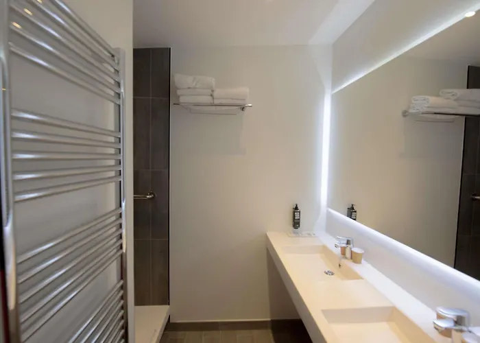 Ibis Canal Saint Martin מלון פריז